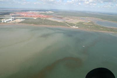 Texas Parks and Wildlife warns of red tide event on gulf coast